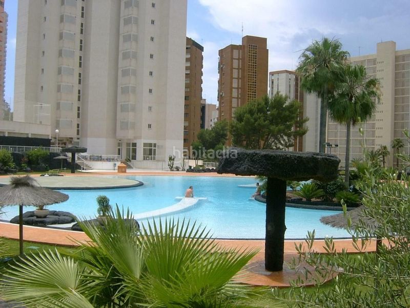 Foto 23566f2f-35b3-4669-9184-917609104b69. Apartament amb piscina a Rincón Alto Benidorm