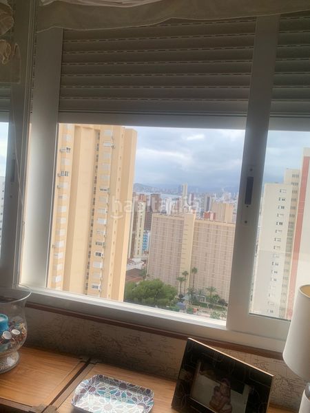 Foto 2bee3301-d4ed-48c6-9ef9-1bc9a58f4460. Apartament amb piscina a Rincón Alto Benidorm