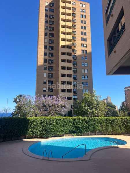 Foto 00aed58d-0d76-4027-929e-b6656fcd1dd6. Pis amb piscina a Playa Poniente Benidorm