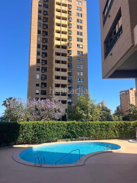 Foto 85660643-c038-4802-a16f-5afd30010c1d. Pis amb piscina a Playa Poniente Benidorm