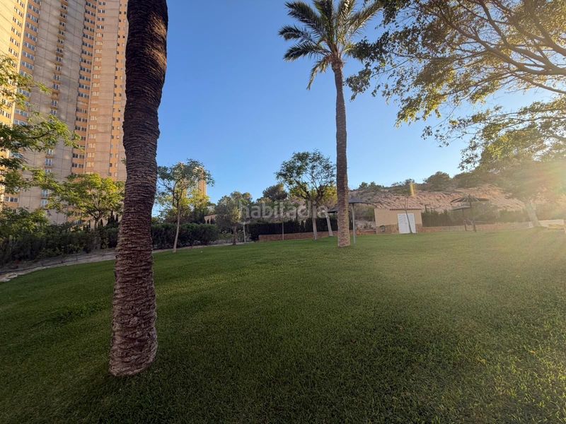 Foto d93e2398-dcb8-4807-b183-835310270f0b. Apartament amb piscina a Daya Vieja