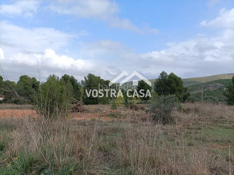 Foto 33cd568b-f9c4-4866-b0e7-db289e267ff9. Finca rústica en diecisiete en Chelva
