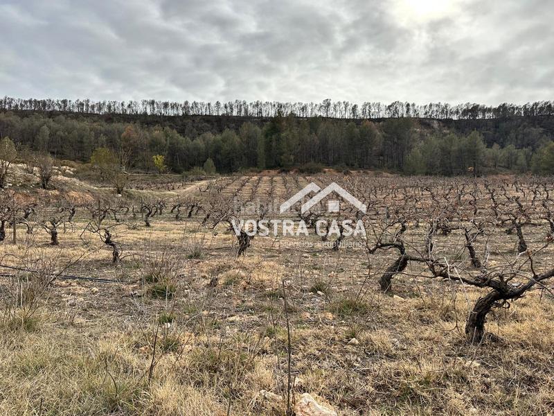 Foto 054c381d-e06c-486c-b7fc-5d3c2e49df3e. Nau industrial a setenta y uno a Requena