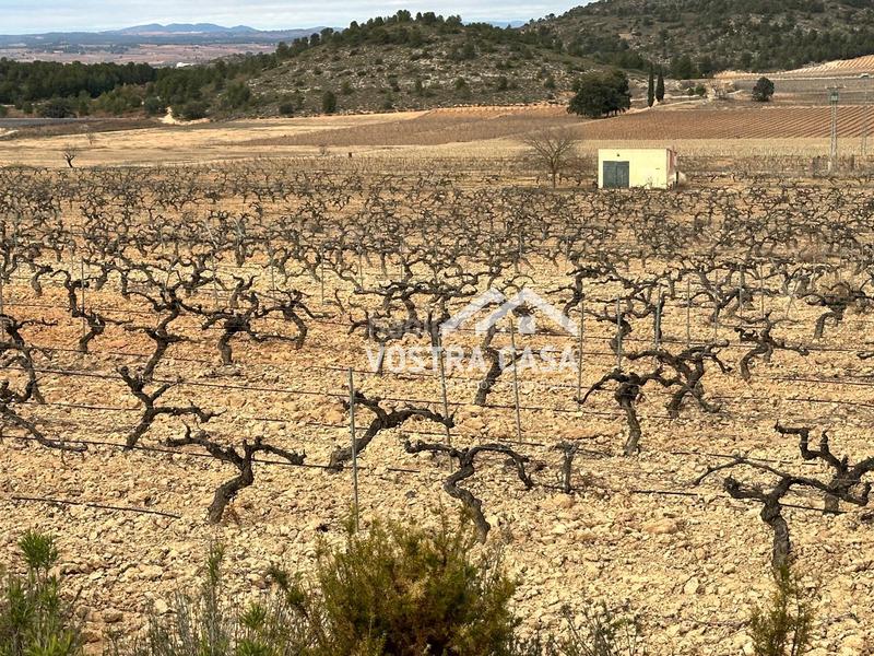 Foto 0d5ed087-e2c7-4c69-a7c7-f476b73fd712. Nau industrial a setenta y uno a Requena