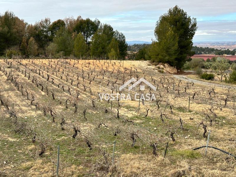 Foto 152d990a-d3a7-4155-8daa-b7b18dc465fd. Nau industrial a setenta y uno a Requena