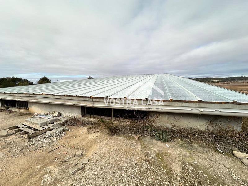 Foto 2235b88e-609f-451d-9ac2-892639429cd0. Nau industrial a setenta y uno a Requena