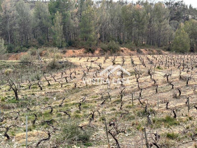 Foto 347ad0fc-adf2-47e4-baa6-23ac863084a4. Nau industrial a setenta y uno a Requena