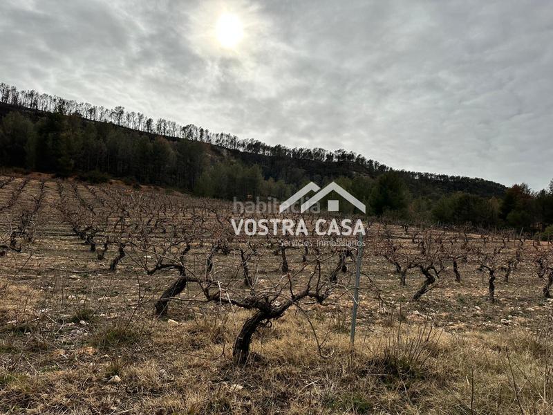 Foto 36d1b7be-eea9-472e-b390-f8e64e06b8ba. Nau industrial a setenta y uno a Requena