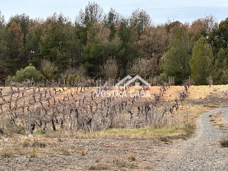 Foto 41575b30-40f0-4b05-90ae-6825df42348b. Nau industrial a setenta y uno a Requena