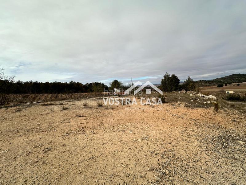 Foto 5ec93738-9948-4dd1-8193-249b554574be. Nau industrial a setenta y uno a Requena