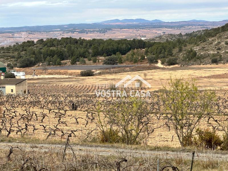 Foto b70acd94-6ca8-4ee8-b59e-53c27f05cb06. Nau industrial a setenta y uno a Requena