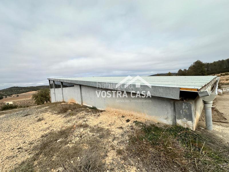 Foto e93e0aab-f8b0-4f7c-8b4c-8341e237ba7b. Nau industrial a setenta y uno a Requena