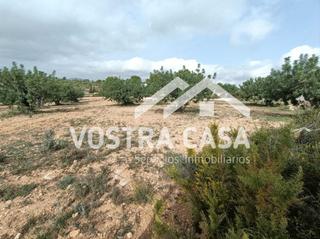 Finca rústica a Nueve