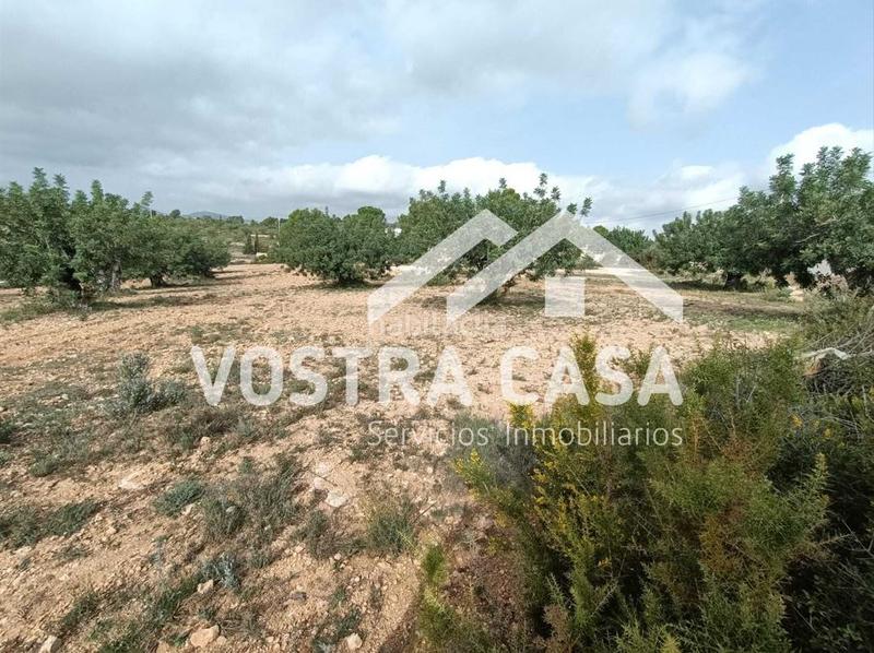 Foto 03e914bf-ade4-4226-9412-21ed65fd6cc0. Finca rústica en nueve en Godelleta