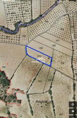 Rural plot in De pinarejo