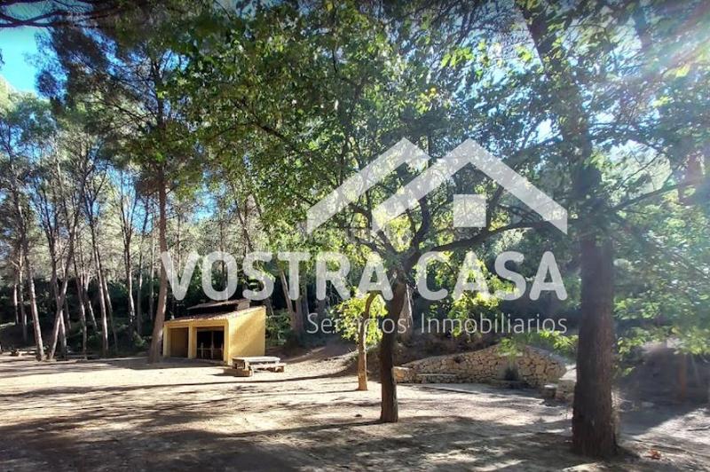 Foto 180da2df-ddde-4233-92cf-8d496bbeed4e. Finca rústica a paraje murtal a Godelleta