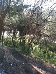 Fondo rustico in Veinte