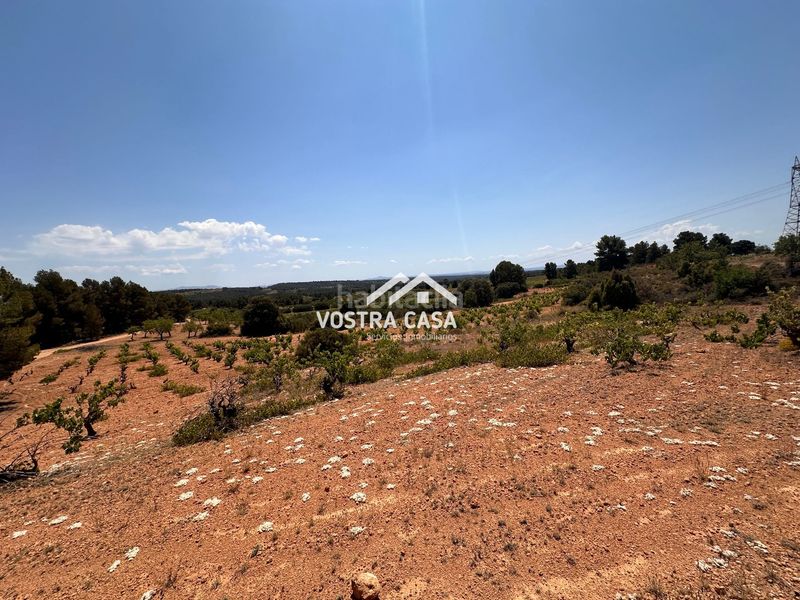 Foto 1a943a8e-18d5-47b6-a636-dac288a2447e. Finca rústica en dieciseis en Venta del Moro