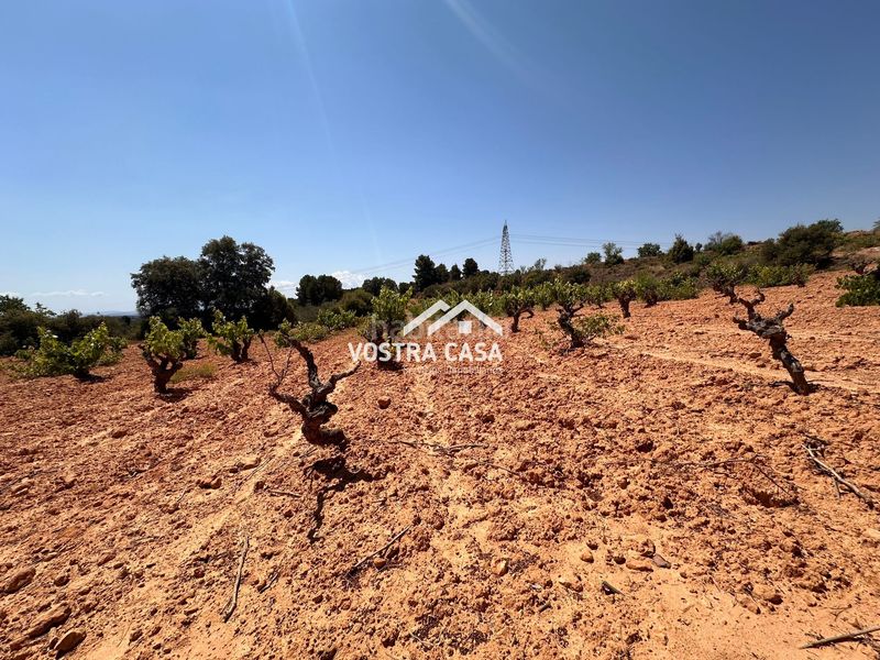 Foto 486cb731-d76c-4e62-97e9-8df80005d87d. Finca rústica en dieciseis en Venta del Moro