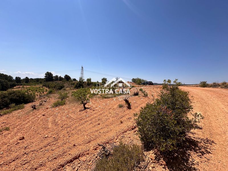 Foto 66c5447d-952e-4e01-9a0a-1e72c17a3008. Finca rústica en dieciseis en Venta del Moro