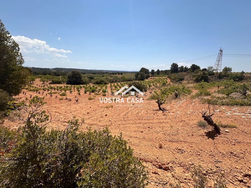 Foto ac7c7cdf-50e0-4319-8587-49d3bf8b9a6e. Finca rústica en dieciseis en Venta del Moro