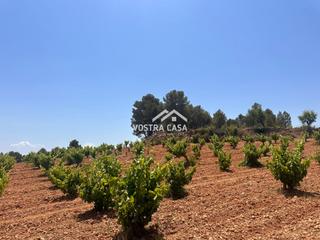 Rural plot in Hoya huesos poligono 16 parcela