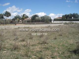 Finca rústica a Veinte