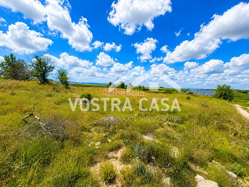Foto 57ca2196-a2e0-4ca0-93d0-ea550c82cd76. Finca rústica a cañada de jacinto a Godelleta