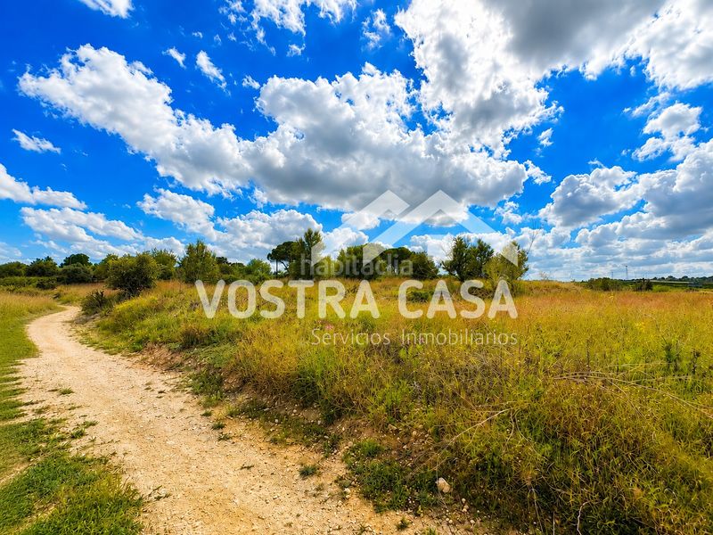 Foto ae8ee270-894e-47ad-bd7f-ff85eeb2ffa2. Finca rústica a cañada de jacinto a Godelleta