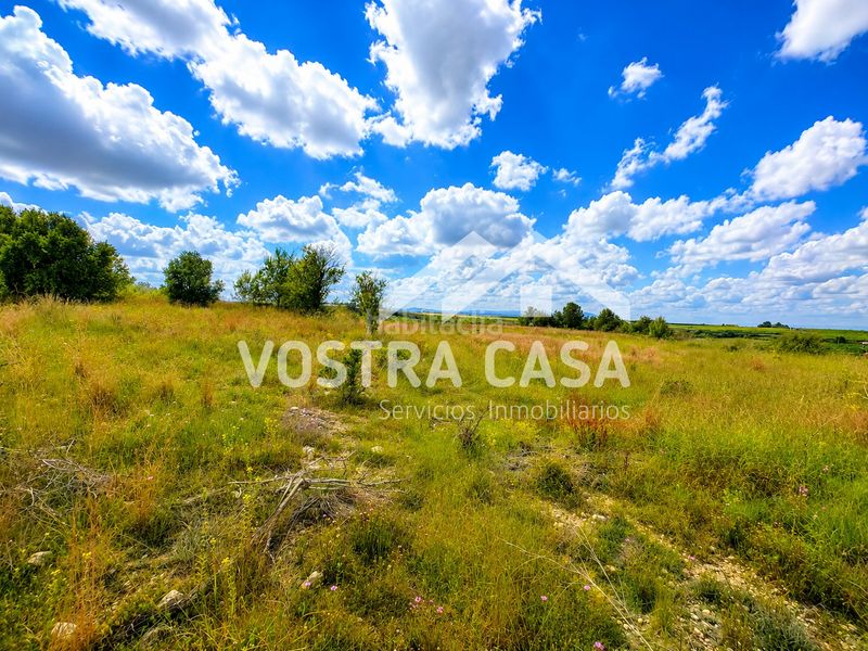 Foto b0076833-5220-4a2c-b286-6272bc793210. Finca rústica a cañada de jacinto a Godelleta