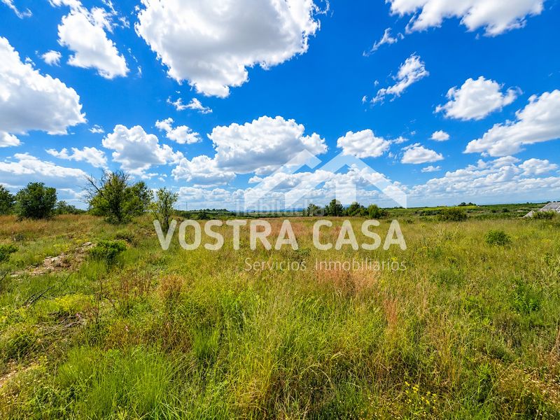 Foto c9a9e38f-ca5c-4004-b974-ac2c5fcd2b46. Finca rústica a cañada de jacinto a Godelleta
