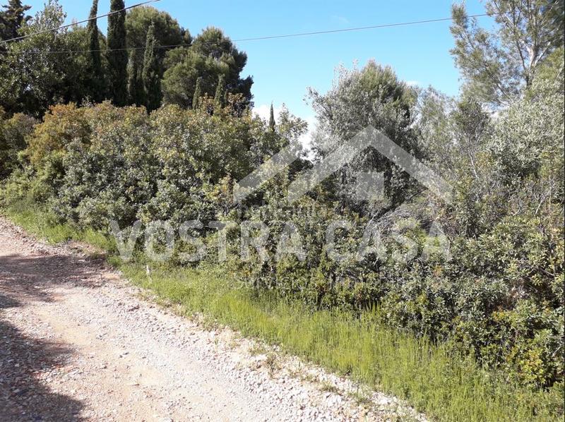 Foto fe8cb76e-35e7-42a3-bbed-c1bd4ddad198. Finca rústica a albarracin a Buñol