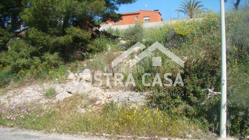 Foto de99c084-ca27-403c-af11-1c622b8d776c. Fondo rustico in madroños in Sierra Perenchiza-Cumbres de Calicanto-Sto Domingo Chiva