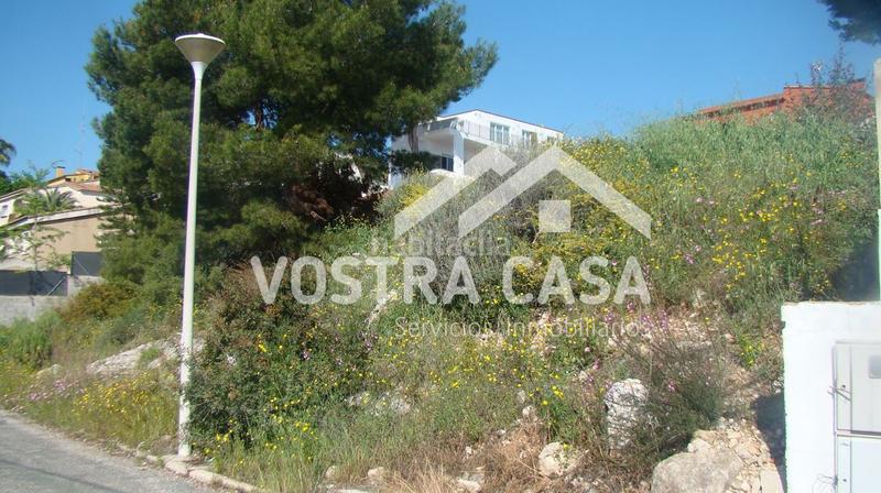 Foto 9a91ff91-6c08-42a3-8c31-13db1209c595. Finca rústica a madroños a Sierra Perenchiza-Cumbres de Calicanto-Sto Domingo Chiva