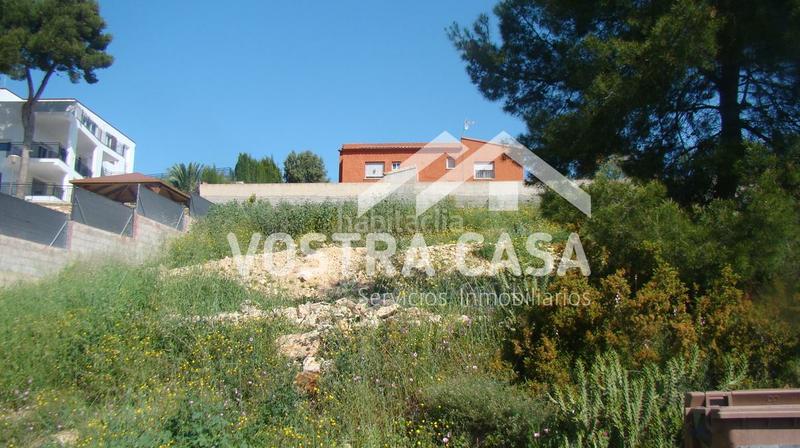 Foto d9d5a6bb-e443-4240-9e8d-6a29fa066130. Finca rústica en madroños en Sierra Perenchiza-Cumbres de Calicanto-Sto Domingo Chiva