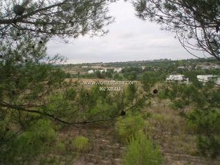 Rural plot in Veintiséis  2m
