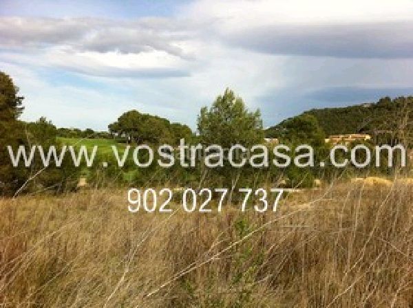 Foto aa1bdca3-4f1c-4893-b92c-bdafe8fa15eb. Finca rústica en veintidos en El Bosque Chiva