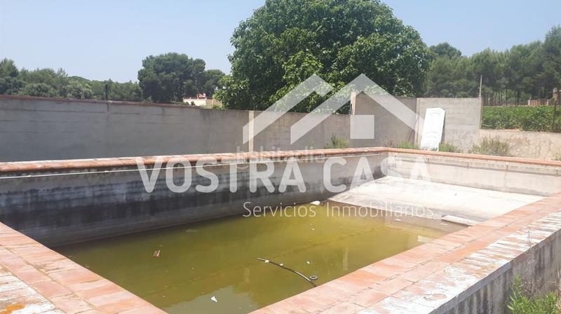 Foto 40127383-ecf7-487e-bdd7-7c0cd9a4ce87. Fondo rustico in las colonias in Godelleta