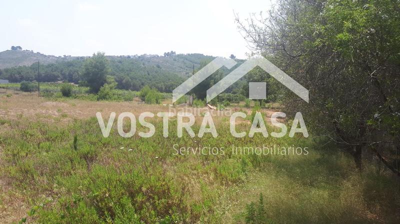 Foto 6637fa8f-67d7-4e31-9907-127477551fa5. Fondo rustico in las colonias in Godelleta