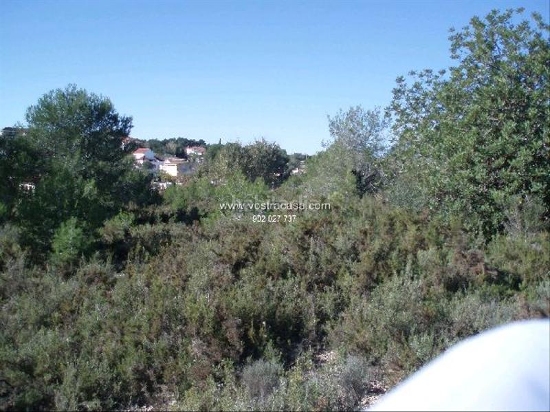 Foto 188818f0-3027-49dc-b6e0-641f5442e49e. Finca rústica a veintisiete a Los Felipes-Corral de Carmelo Chiva