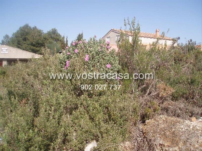 Foto 8f87b1b8-eeda-4ddb-8c8c-abd46d1f33c6. Finca rústica en ocho en Godelleta