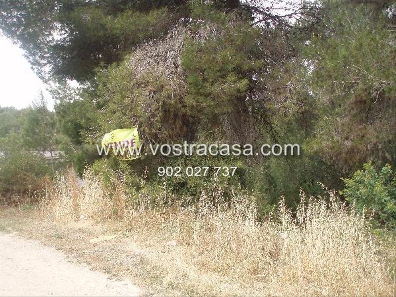 Foto 0cd3c04c-386f-498b-9696-6fa7ce3ab71c. Finca rústica a veinticuatro a El Bosque Chiva