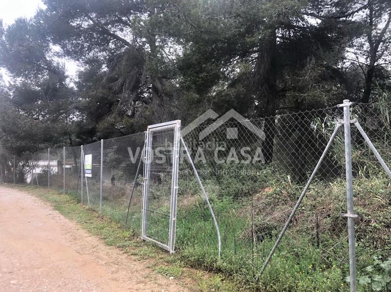 Foto 7b028154-46ef-4586-89cc-7ba3b58fefbd. Finca rústica a veinticuatro a El Bosque Chiva