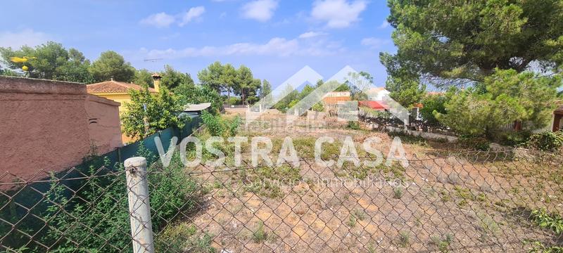 Foto 1d502a89-6782-43f6-81d5-d2e78c4ca9b8. Fondo rustico in xirivella in La Loma Chiva