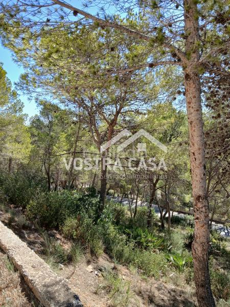 Foto 3aac0d71-455e-418b-9d6f-a15fdbbe13fc. Finca rústica en dieciseis en Godelleta