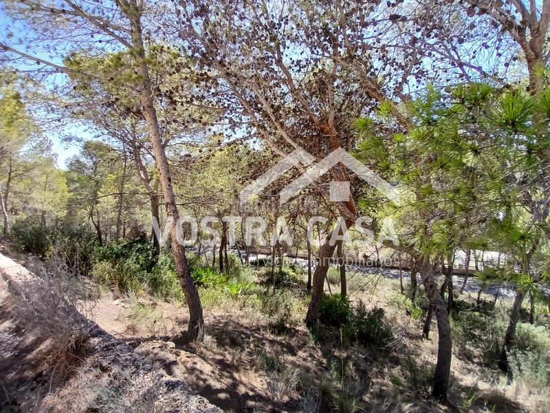 Foto 46098e8c-c6bf-49cc-8993-c188afd39687. Finca rústica en dieciseis en Godelleta