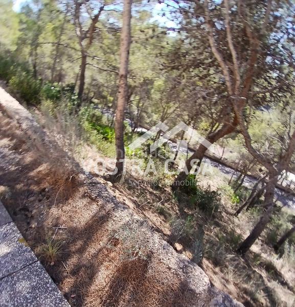 Foto 62682572-f051-4f18-bd4d-94489ad96697. Finca rústica en dieciseis en Godelleta