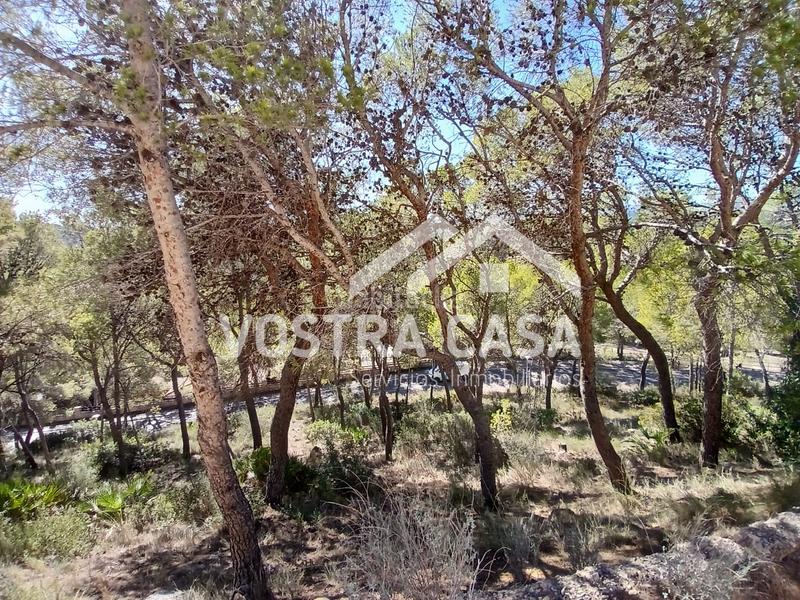 Foto 80bf341b-a098-4ab6-800a-5fd13ecfd1aa. Finca rústica en dieciseis en Godelleta