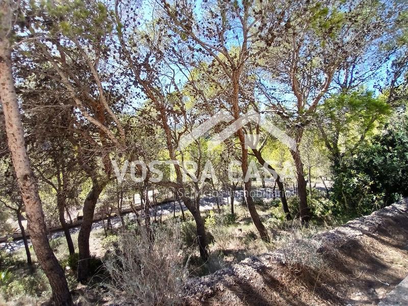 Foto 96fbdbf5-96b6-494d-87e5-00fa641171e5. Finca rústica en dieciseis en Godelleta