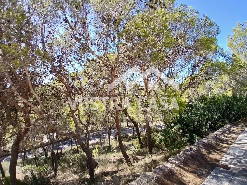 Foto ad9dc5b4-c794-44b1-977a-eb35b909c6a7. Finca rústica en dieciseis en Godelleta